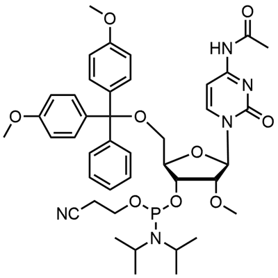 ДМТ-2′О-Метил-рЦ(ац) фосфорамидит